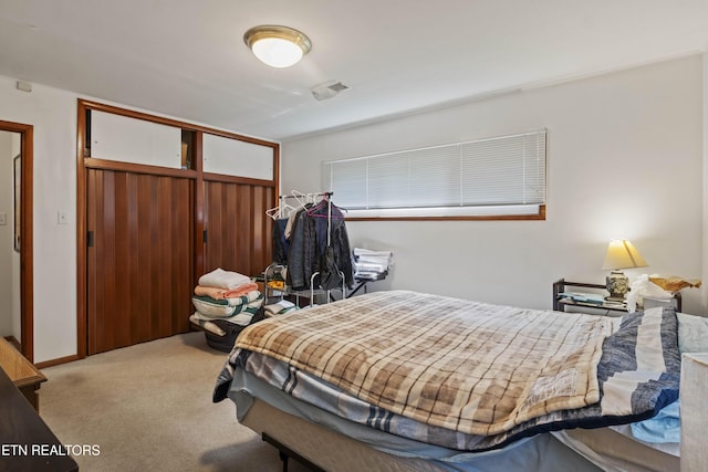 205 Newcastle Rd, Knoxville, TN 37909 - bedroom featuring carpet and a closet