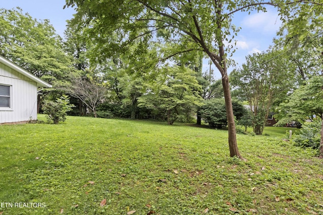 205 Newcastle Rd, Knoxville, TN 37909 - view of green lawn