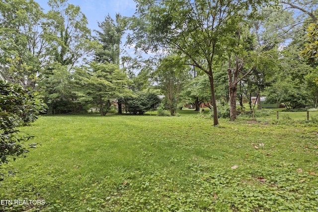 205 Newcastle Rd, Knoxville, TN 37909 - view of grassy yard