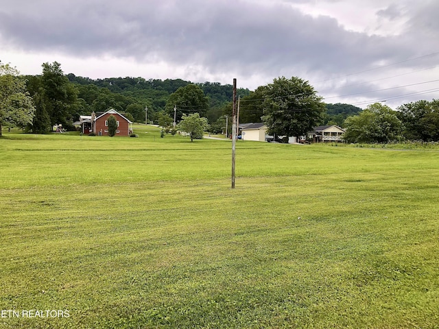 312 Terrace View Dr, Bean Station, TN 37708 - view of community with a yard