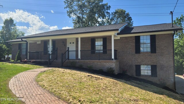4713 Zirkle Dr, Knoxville, TN 37918 - photo 48