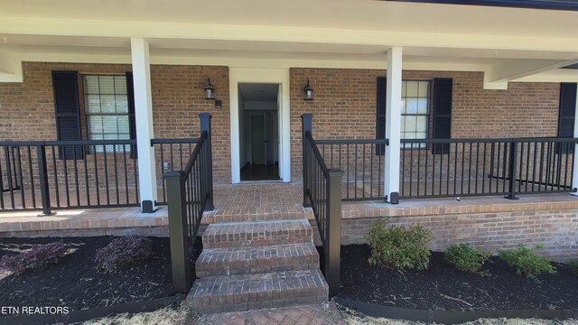 4713 Zirkle Dr, Knoxville, TN 37918 - photo 59
