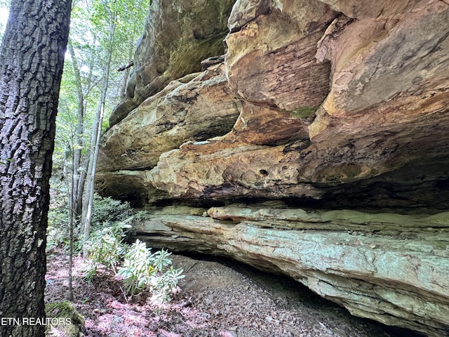 Bear Hollow Rd, Oneida, TN 37841 - photo 1