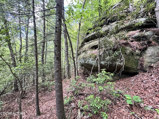 Bear Hollow Rd, Oneida, TN 37841 - photo 3