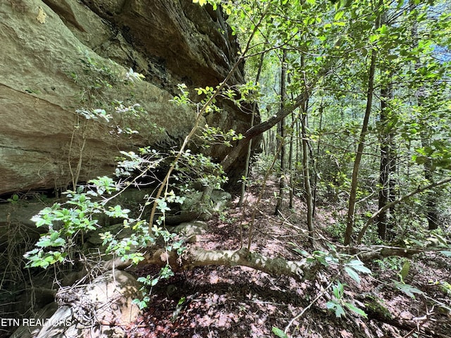 Bear Hollow Rd, Oneida, TN 37841 - photo 5