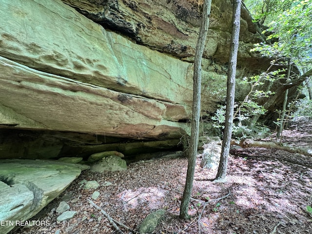 Bear Hollow Rd, Oneida, TN 37841 - photo 6