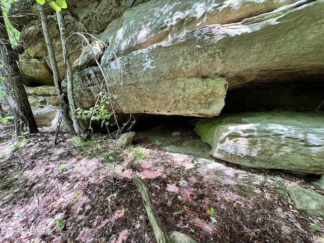 Bear Hollow Rd, Oneida, TN 37841 - photo 7