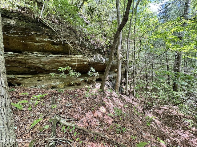 Bear Hollow Rd, Oneida, TN 37841 - photo 8