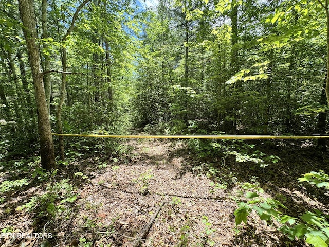 Bear Hollow Rd, Oneida, TN 37841 - photo 9