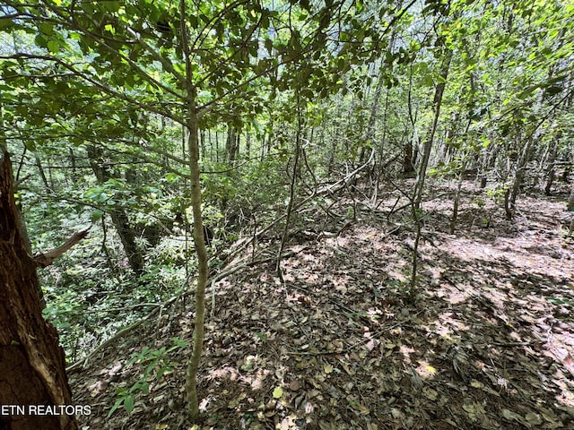 Bear Hollow Rd, Oneida, TN 37841 - photo 13