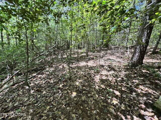 Bear Hollow Rd, Oneida, TN 37841 - photo 14