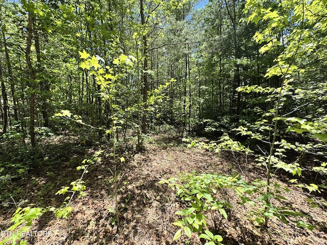 Bear Hollow Rd, Oneida, TN 37841 - photo 17