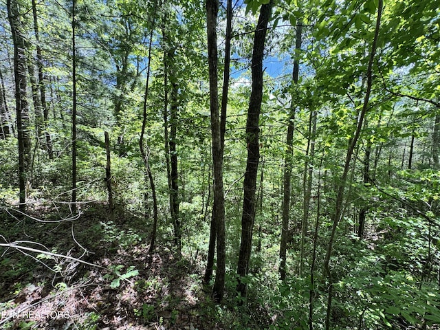 Bear Hollow Rd, Oneida, TN 37841 - photo 20