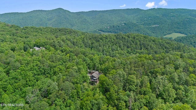 1907 Oakwood Rd, Walland, TN 37886 - mountain view with a heavily wooded area