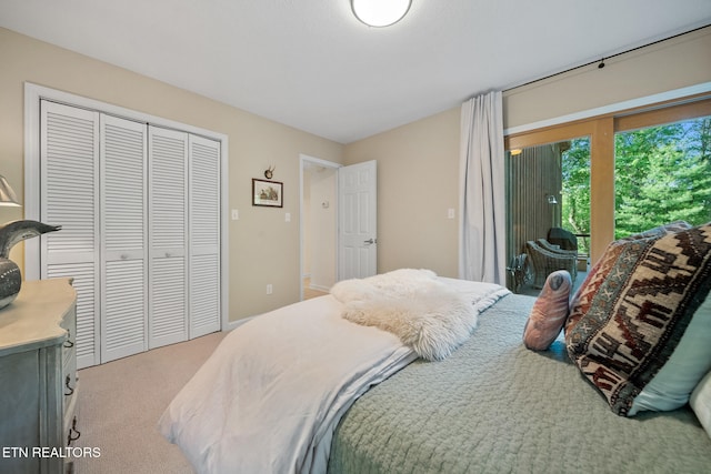 1907 Oakwood Rd, Walland, TN 37886 - bedroom with light carpet, access to outside, and a closet