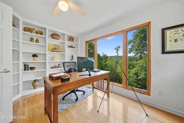 1907 Oakwood Rd, Walland, TN 37886 - home office featuring light wood finished floors, ceiling fan, and baseboards