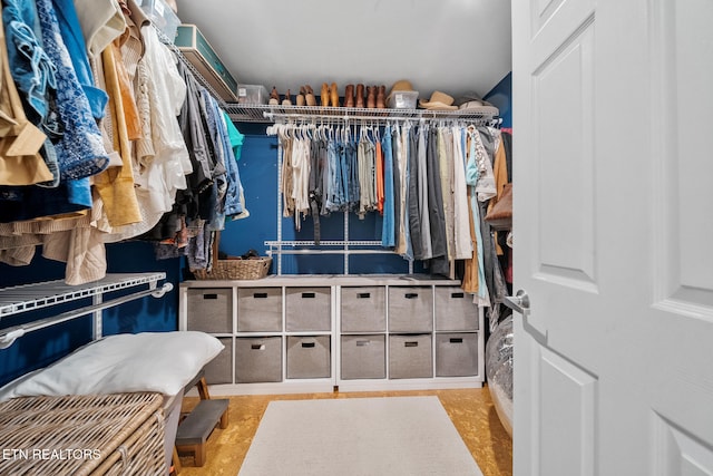 1907 Oakwood Rd, Walland, TN 37886 - view of spacious closet