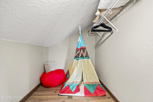 2046 Slippery Rock Cir, Sevierville, TN 37862 - walk in closet with wood finished floors and lofted ceiling