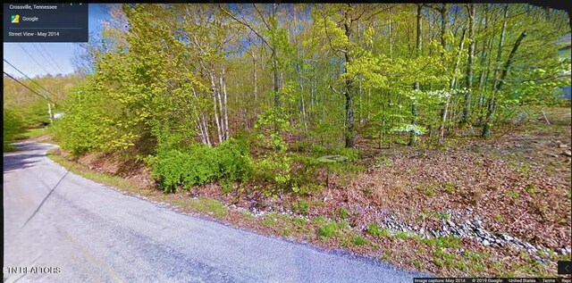 112 Overlook Cv, Crossville, TN 38558 - photo 3