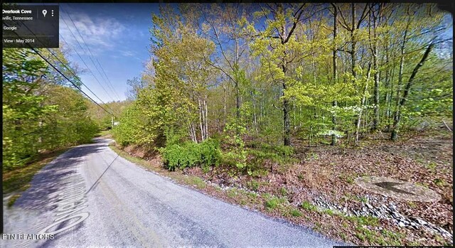 112 Overlook Cv, Crossville, TN 38558 - photo 4