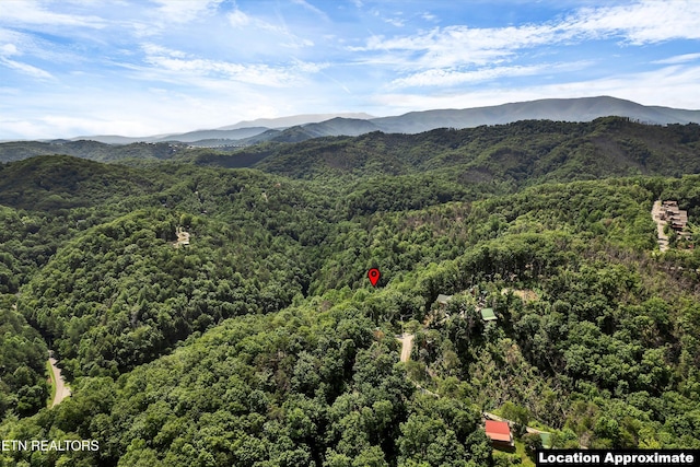 2941 Valley Springs Way, Sevierville, TN 37862 - view of mountain backdrop with a forest