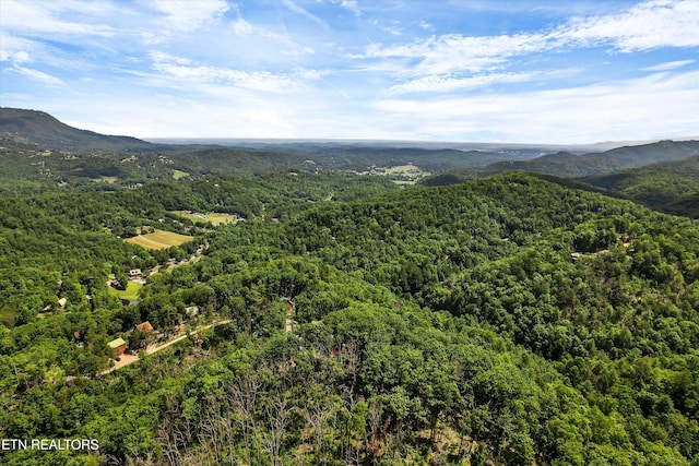 2941 Valley Springs Way, Sevierville, TN 37862 - bird's eye view of a forest and mountains