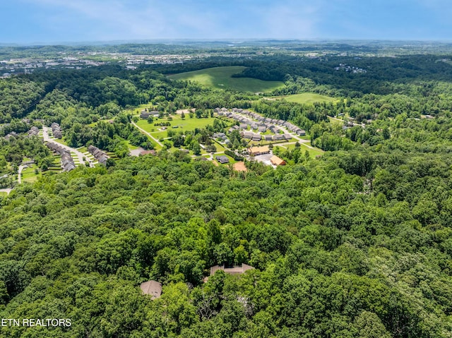 11104 Poplar Ridge Rd, Knoxville, TN 37932 - photo 50