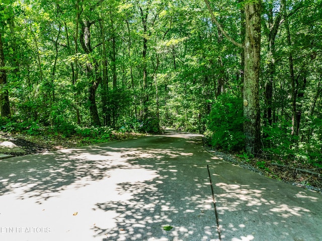 11104 Poplar Ridge Rd, Knoxville, TN 37932 - photo 49