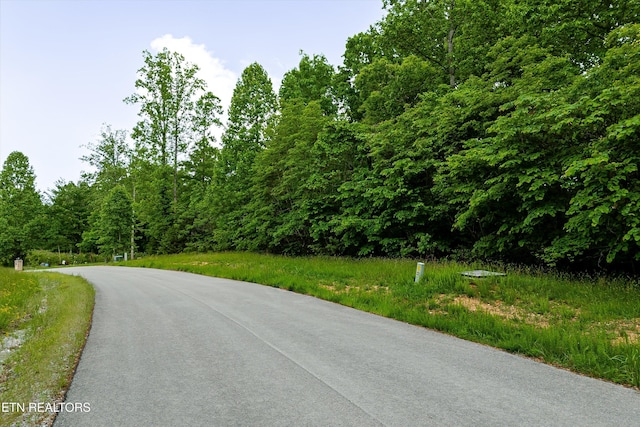LOT240 Tanzanite Trl, New Tazewell, TN 37825