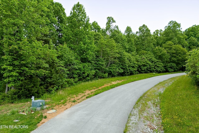 LOT240 Tanzanite Trl, New Tazewell, TN 37825