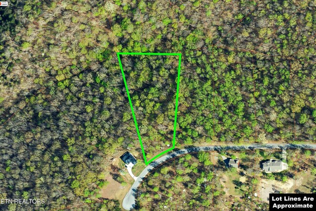 LOT240 Tanzanite Trl, New Tazewell, TN 37825