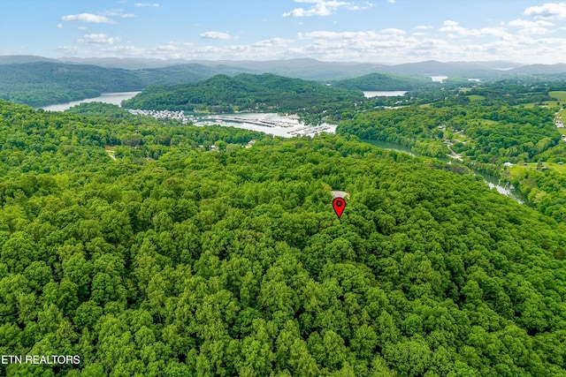 LOT240 Tanzanite Trl, New Tazewell, TN 37825