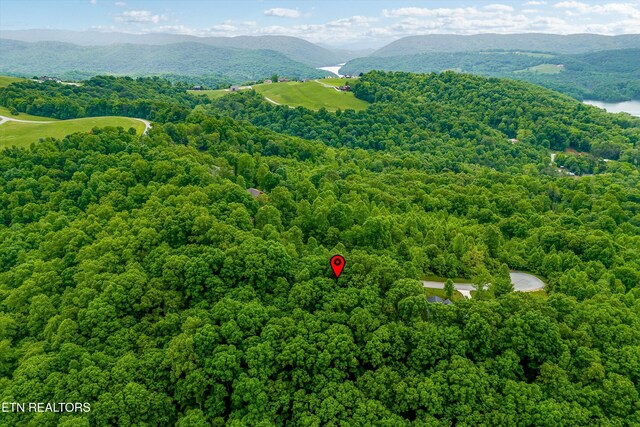 LOT240 Tanzanite Trl, New Tazewell, TN 37825
