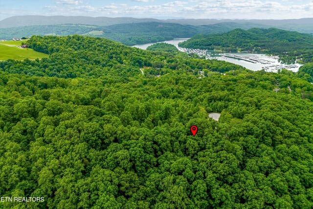 LOT240 Tanzanite Trl, New Tazewell, TN 37825