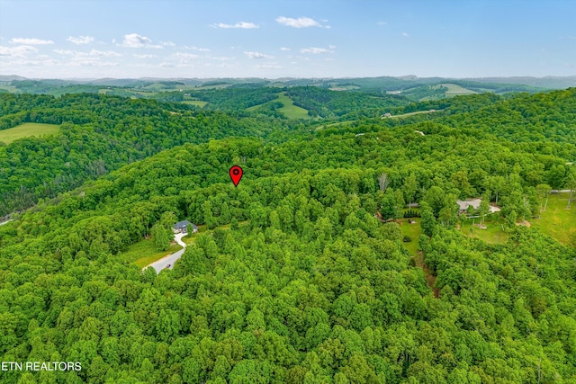 LOT240 Tanzanite Trl, New Tazewell, TN 37825