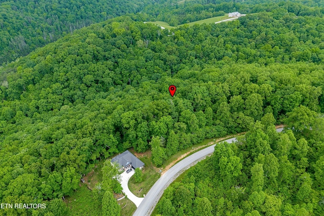 LOT240 Tanzanite Trl, New Tazewell, TN 37825