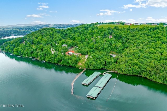 LOT240 Tanzanite Trl, New Tazewell, TN 37825