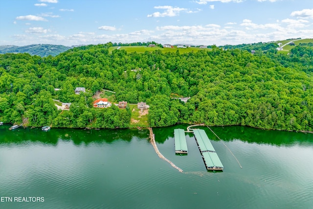 LOT240 Tanzanite Trl, New Tazewell, TN 37825