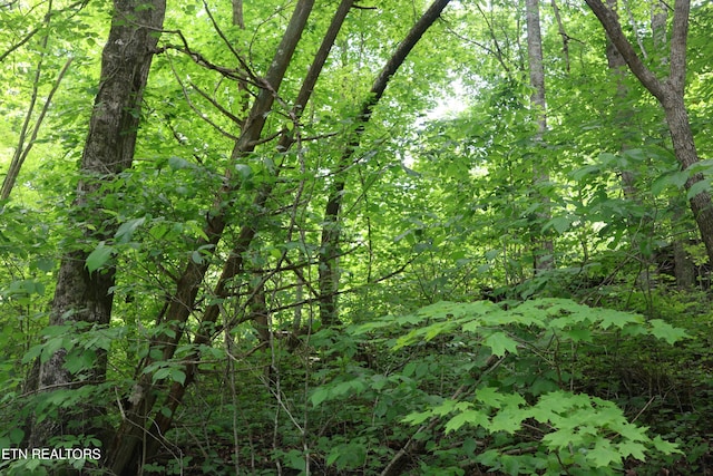 Dry Creek Rd, Jamestown, TN 38556