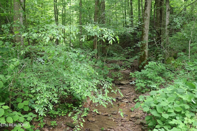 Dry Creek Rd, Jamestown, TN 38556