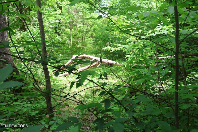Dry Creek Rd, Jamestown, TN 38556
