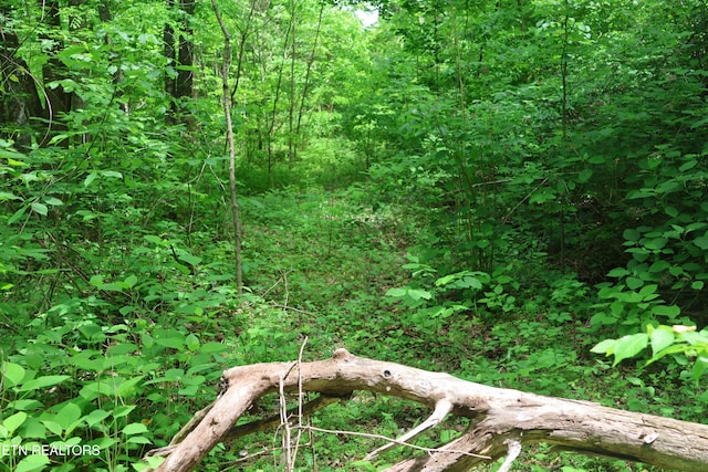 Dry Creek Rd, Jamestown, TN 38556