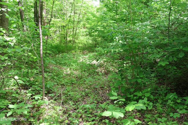 Dry Creek Rd, Jamestown, TN 38556
