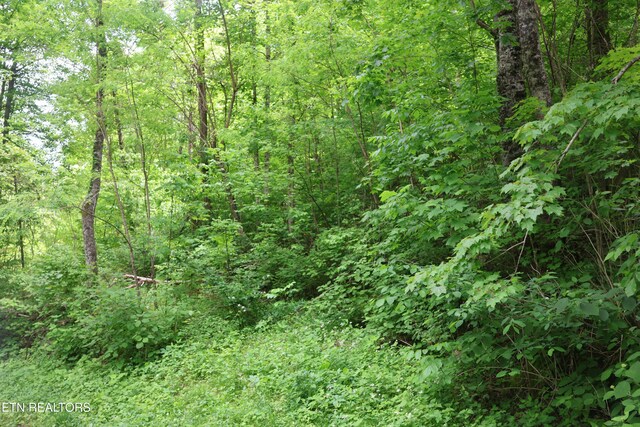 Dry Creek Rd, Jamestown, TN 38556