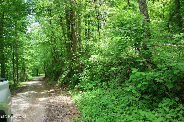 Dry Creek Rd, Jamestown, TN 38556