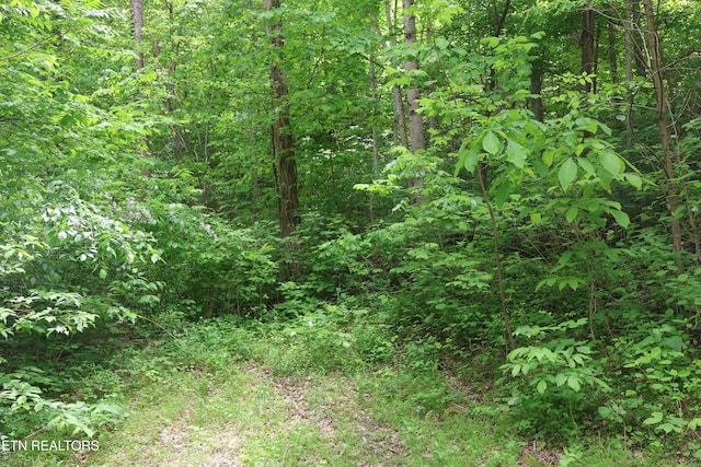 Dry Creek Rd, Jamestown, TN 38556