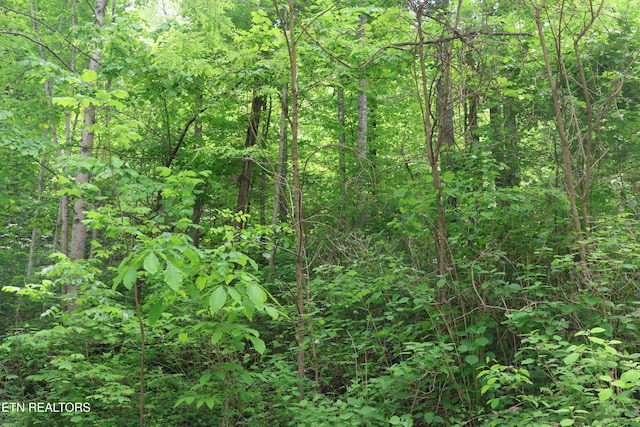 Dry Creek Rd, Jamestown, TN 38556