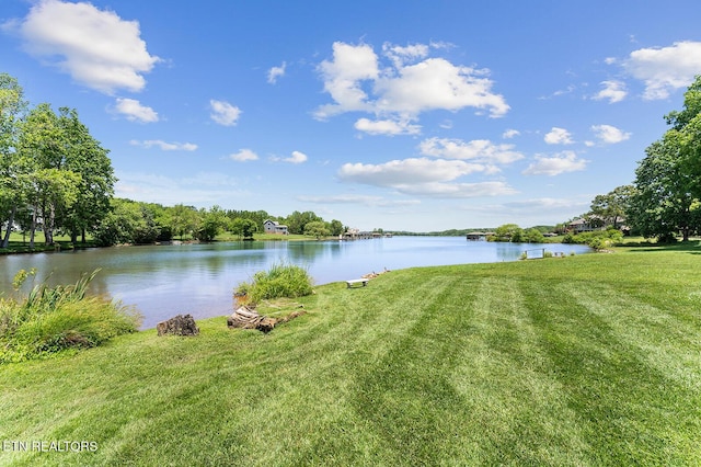 105 Gogeyi Trl, Vonore, TN 37885 - water view