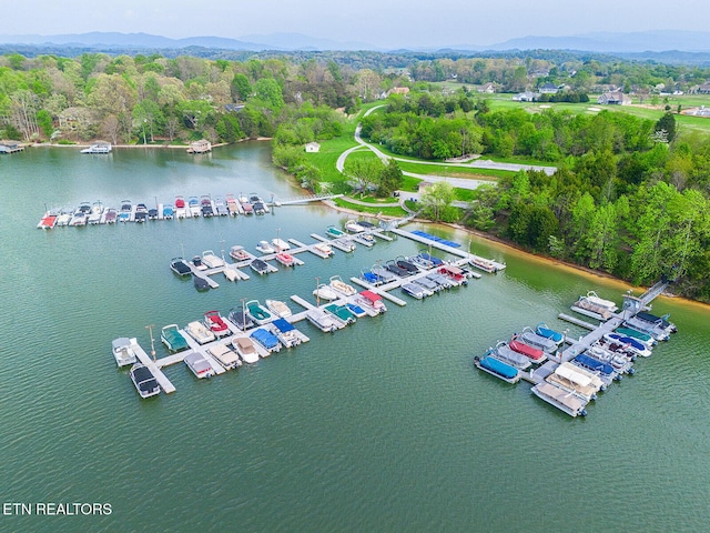 105 Gogeyi Trl, Vonore, TN 37885 - bird's eye view of a large body of water and numerous boat docks