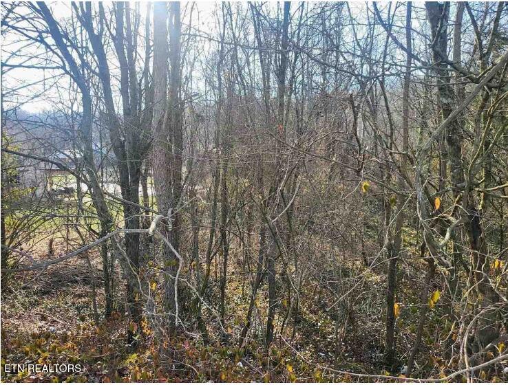 5208 Asheville Hwy, Knoxville, TN 37914 - photo 1